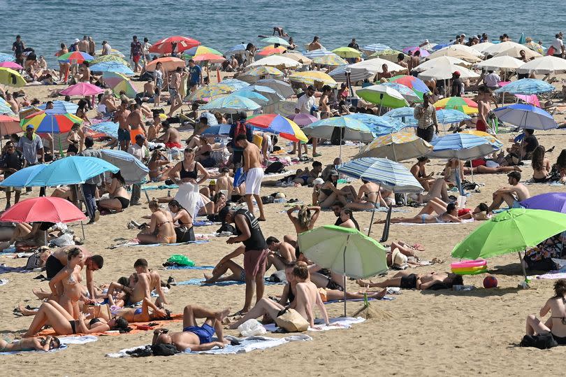 Brits admit they're cancelling their trips to the Canary Islands