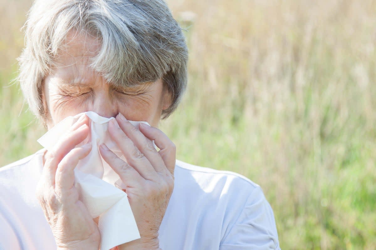 The Met Office has issued very high levels of pollen across the UK for the rest of the week 