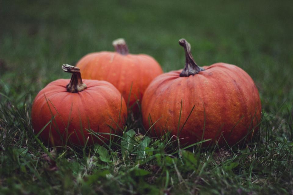 Eyesight: According to the American Optometric Association, pumpkin may help reduce the risk of chronic eye diseases, including age-related macular degeneration and cataracts