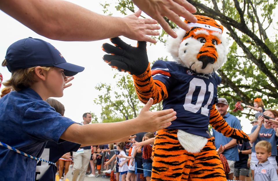 Auburn University mascot Aubie greets fans during the Tiger Walk before the AU vs. Samford game at Jordan-Hare Stadium in the AU campus in Auburn, Ala., on Saturday September 16, 2023.