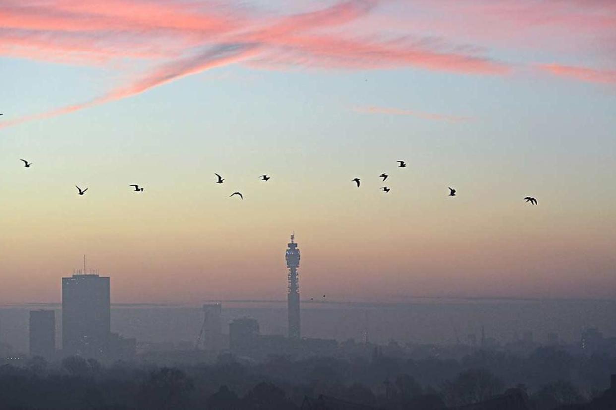 Smog: Sunrise from Primrose Hill: Jeremy Selwyn