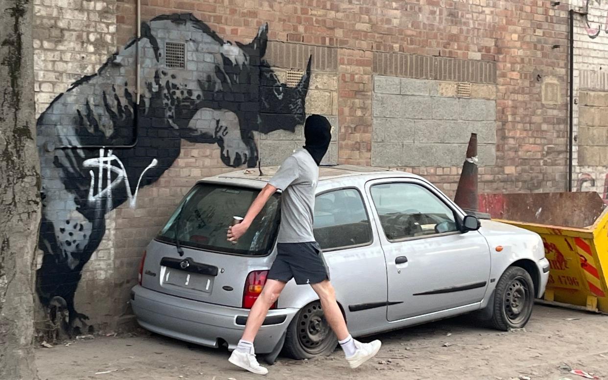 The balaclava-clad vandal in Charlton