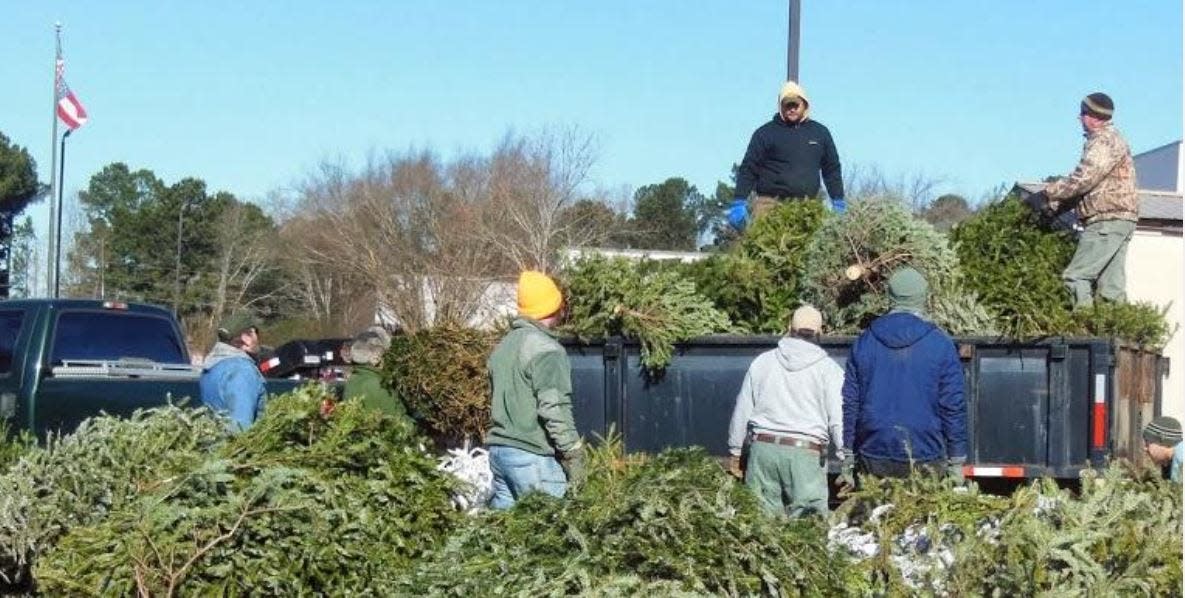 Forest Park's Environmental Awareness Program has been recycling Christmas trees for more than three decades. Over the last 30 years, more than 6,000 trees have been collected and recycled.