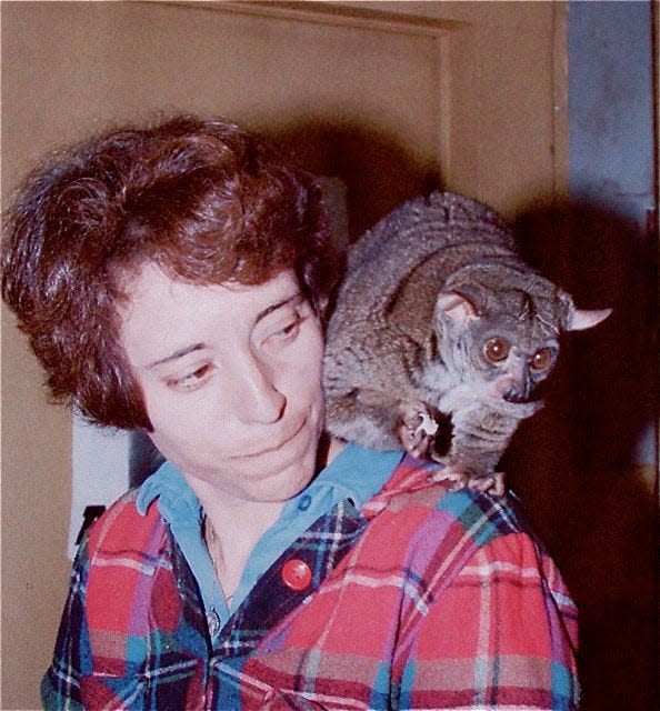 Ann Southcombe with her pet galago, or bush baby, Pogo.