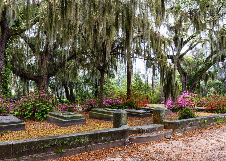 Bonaventure Don: History in Headstones