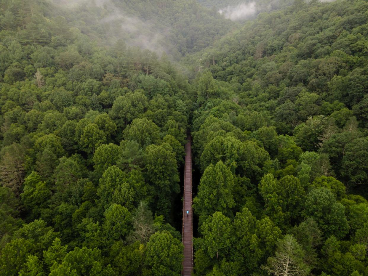 Aerial view of the Virginia Creeper Trail near Damascus, Virginia in the summer.