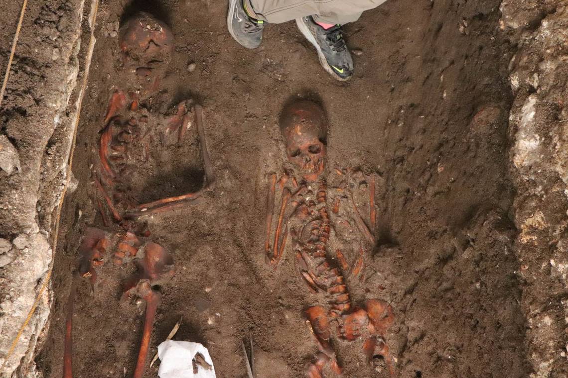 Some of the skeletons found at the burial by archaeologists.