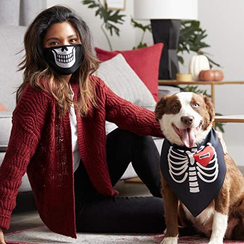33) Halloween Face Mask and Dog Bandana