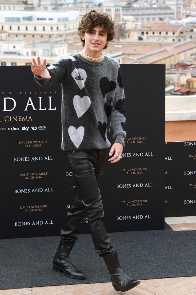 Timothee Chalamet Rocks Leather Pants to 'Bones & All' Photo Call