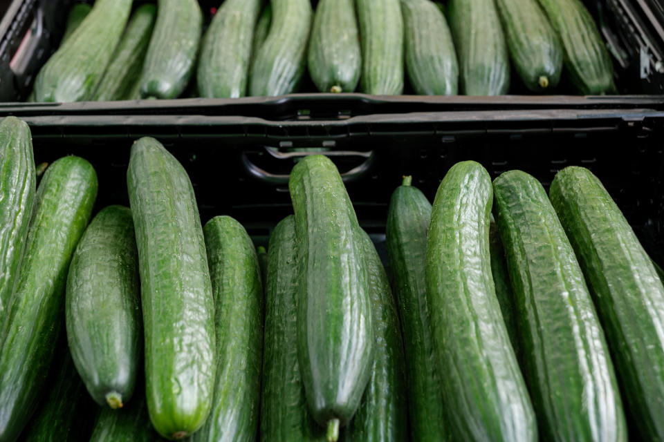 Die Gurke im Supermarkt kann momentan zu einem teueren Vergnügen werden. (Bild: Getty)