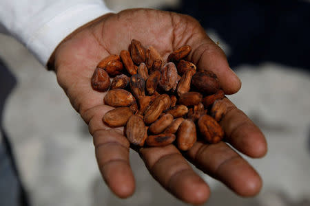 Yoffre Echarri holds cocoa beans on the roof of his house in Caruao, Venezuela October 24, 2017.REUTERS/Carlos Garcia Rawlins