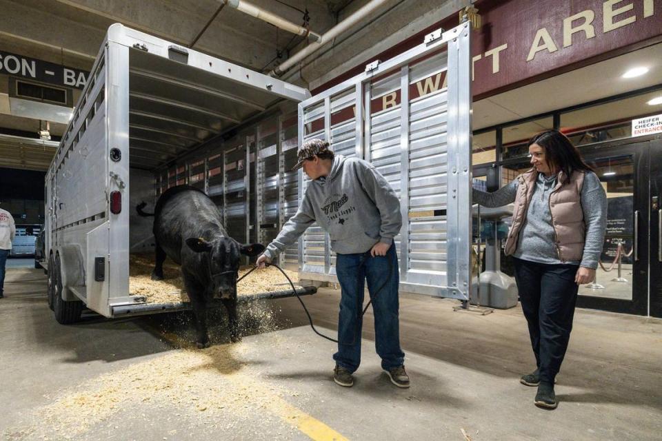 Nate Stoesser, 15, unloads his steer Charlene out of her trailer with the help of his mother Meredith in the Cattle 2 barn over night at the Fort Worth Stock Show and Rodeo.