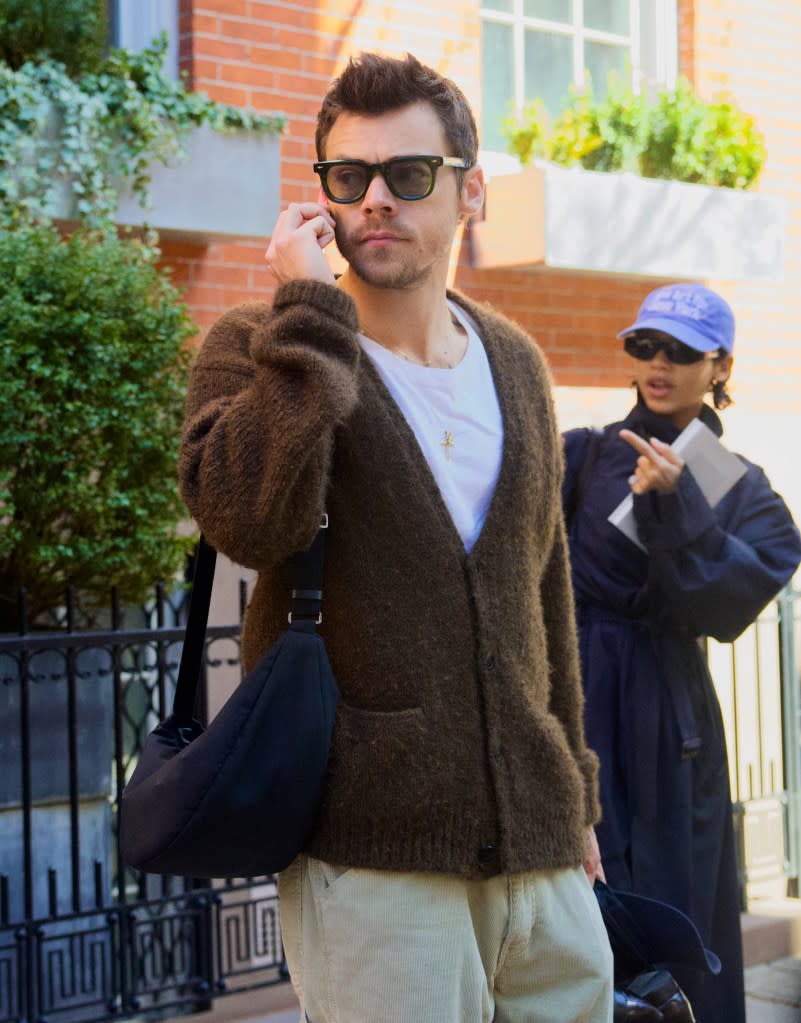 Music sensation Harry Styles recently sported a nylon satchel as streetwear, but the singer has also brought luxe bags to red-carpet appearances. SplashNews.com