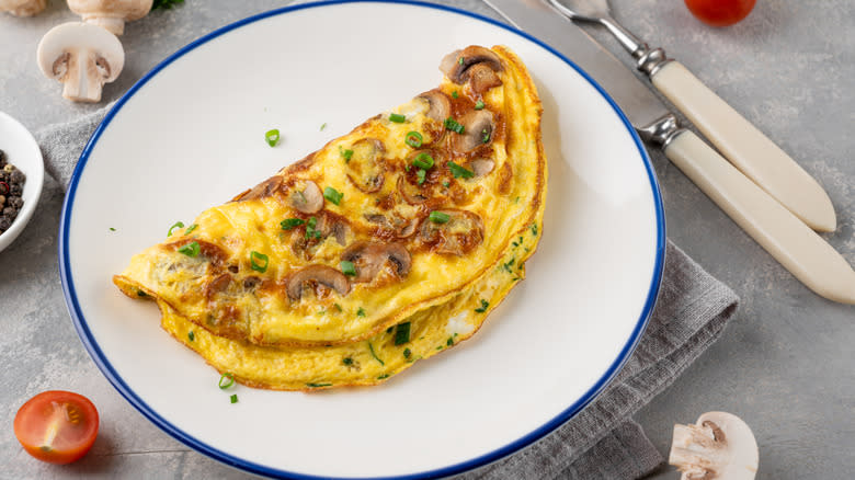omelet on a plate