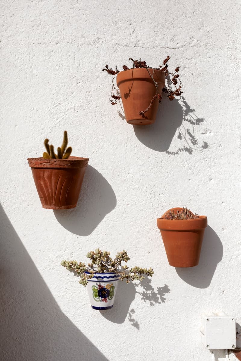 Potted plants hung on outdoor wall.