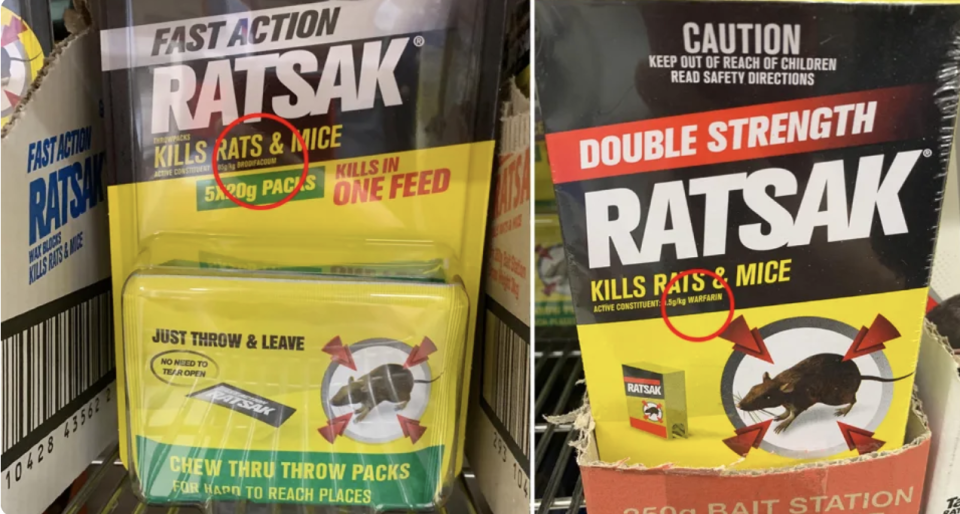 Rodenticide active ingredients in the fine print of rat baits sold at Bunnings.