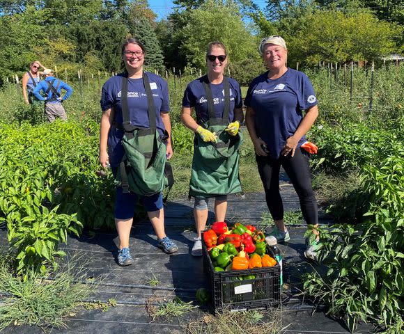 <p>Elevance </p> Elevance Health volunteers harvest produce at a multi-disciplinary farm for a large food distribution event.