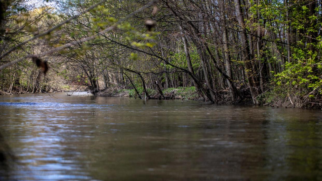 The lower Rouge River near Ford Field park in Dearborn, Mich. on Friday, April 19, 2024.