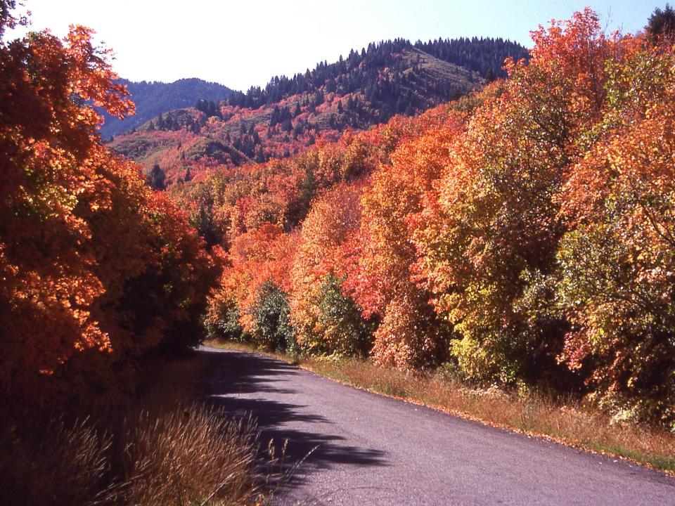 Logan Utah