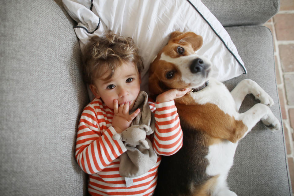 Kleiner Junge zusammen mit seinem Hund, einem Beagle, auf der Couch.