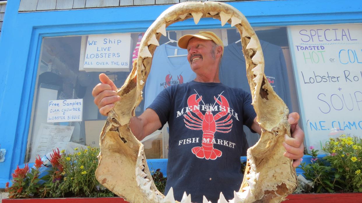 Menemsha fisherman Stanley Larsen holds the jaws of a great white shark he caught in 1983 while swordfishing off Georges Bank. He said the fish was 20-feet long and weighed 3,000 pounds.