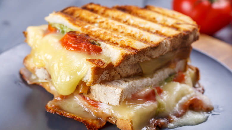 Mozzarella cheese sandwich with tomato