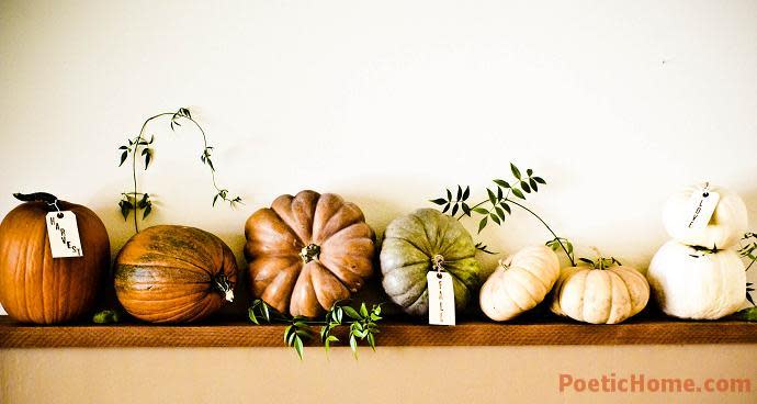 Assortment of Pumpkins