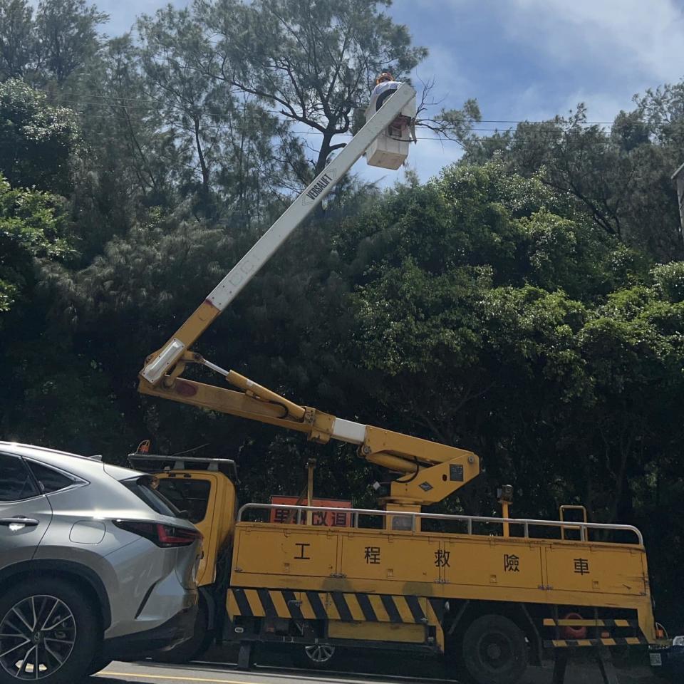 停電原因疑似是樹枝碰觸高壓線路。（圖／翻攝畫面）