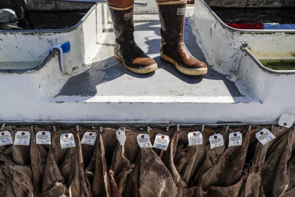 Burlap sacks used to stow caught fish aboard the Enterprise