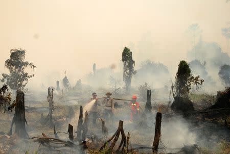 Police and a fire fighter from a local forestry company try to extinguish a forest fire in the village in Rokan Hulu regency, Riau province, Sumatra, Indonesia August 28, 2016 in this photo taken by Antara Foto. Antara Foto/Rony Muharrman/via REUTERS