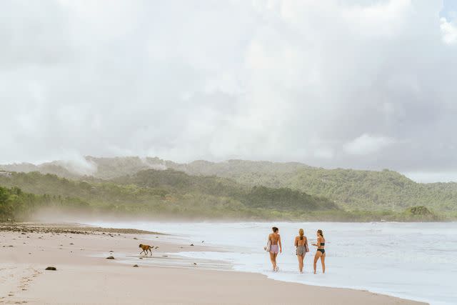 <p>Jake Naughton</p> Playa Carmen, near the town of Santa Teresa.