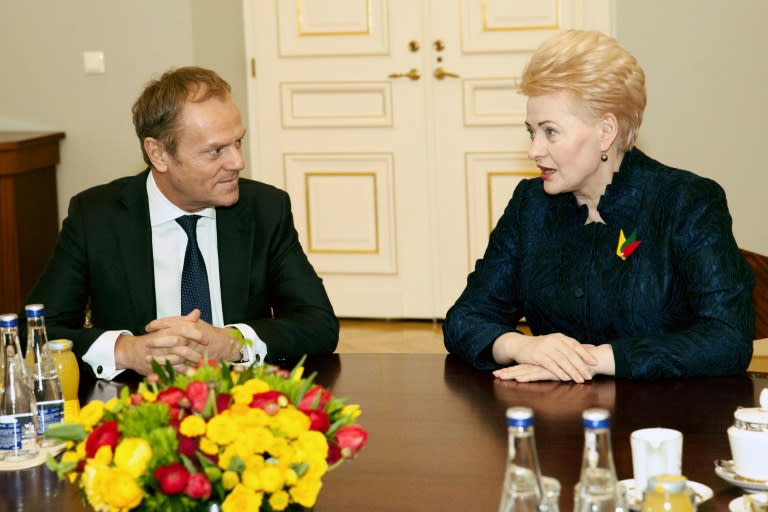 European Council President Donald Tusk met with Lithuania's President Dalia Grybauskaite on February 15, the eve of the anniversary