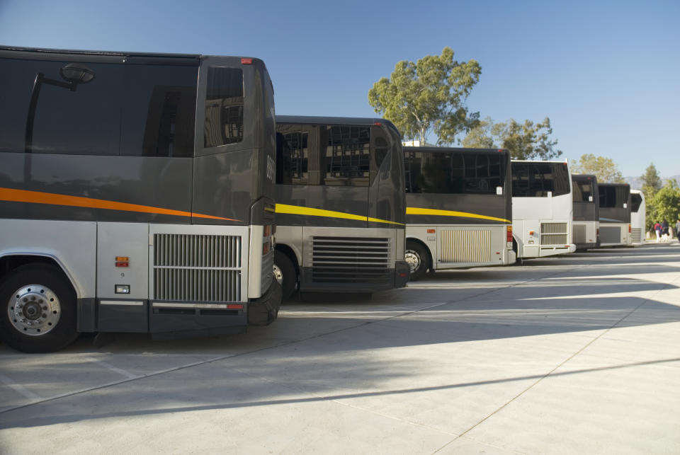 A row of buses