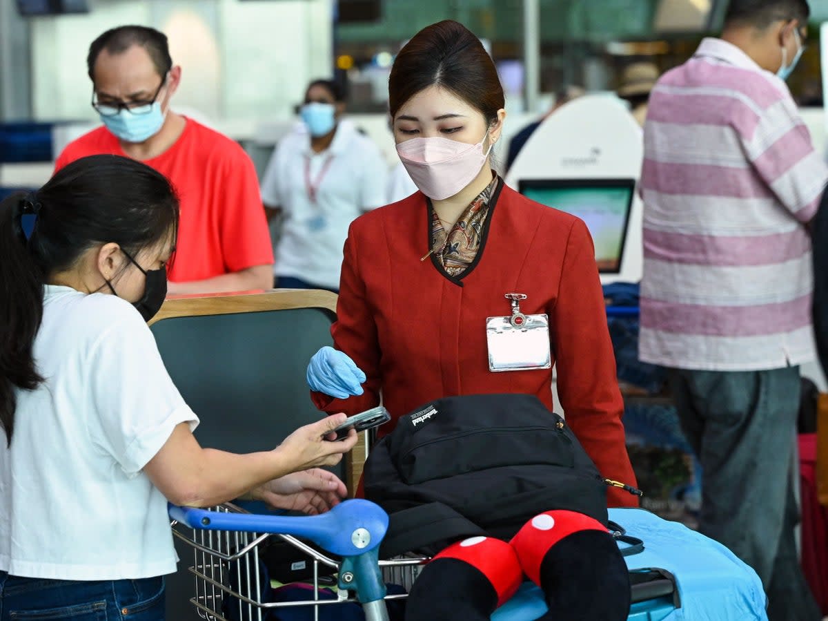 Singapore’s health ministry said that Covid’s XBB wave in the country is likely to peak at 15,000 daily cases by mid-November (AFP via Getty Images)