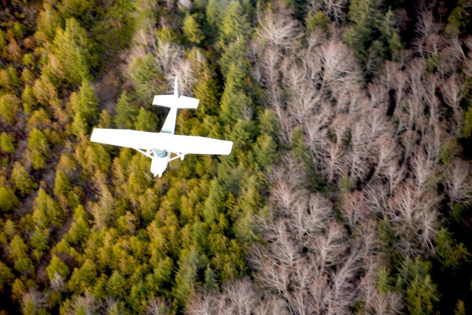 A volunteer search aircraft  helps the Washington State Department of Transportation look for Rod Collen in the forests of Queets, Washington.