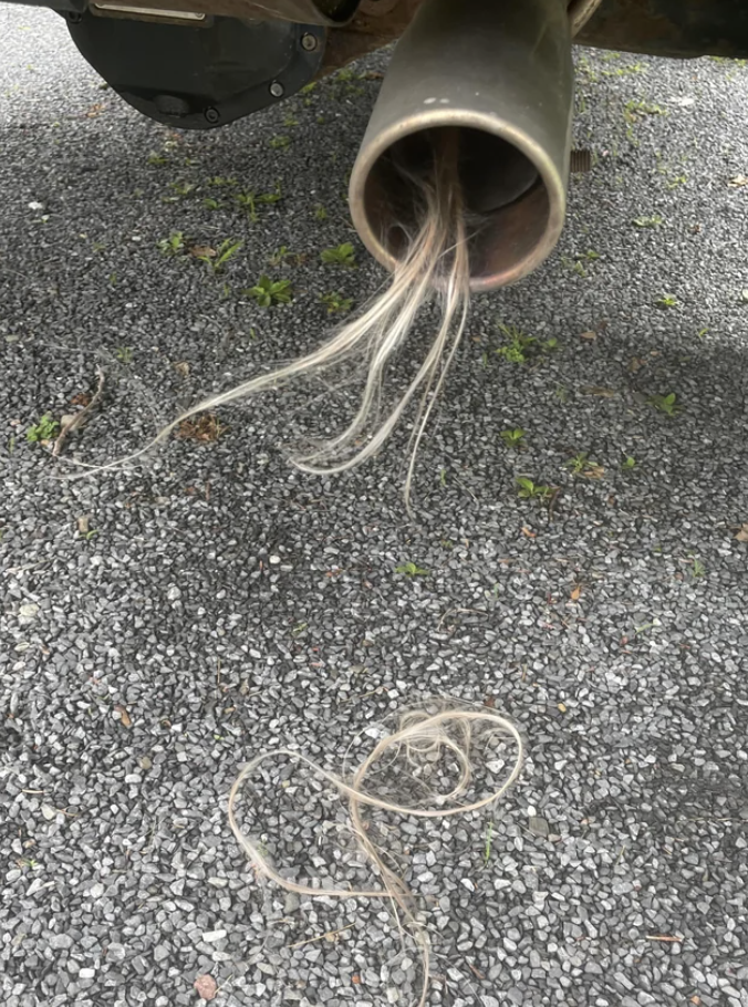 hair sticking out of a muffler