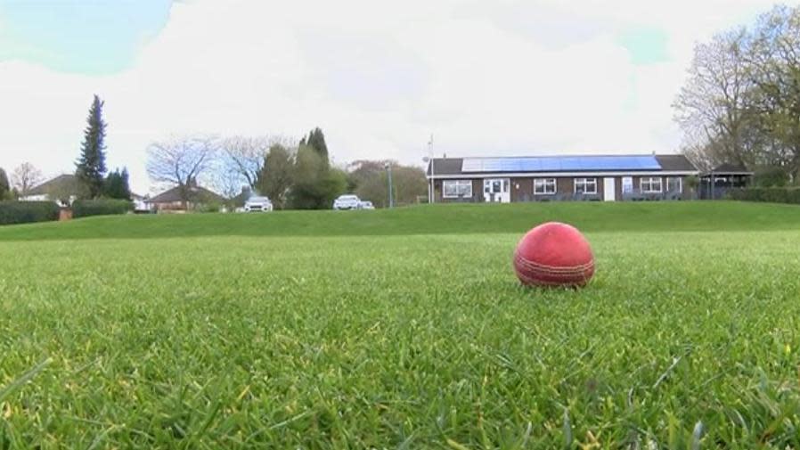 A cricket ball on a grass field