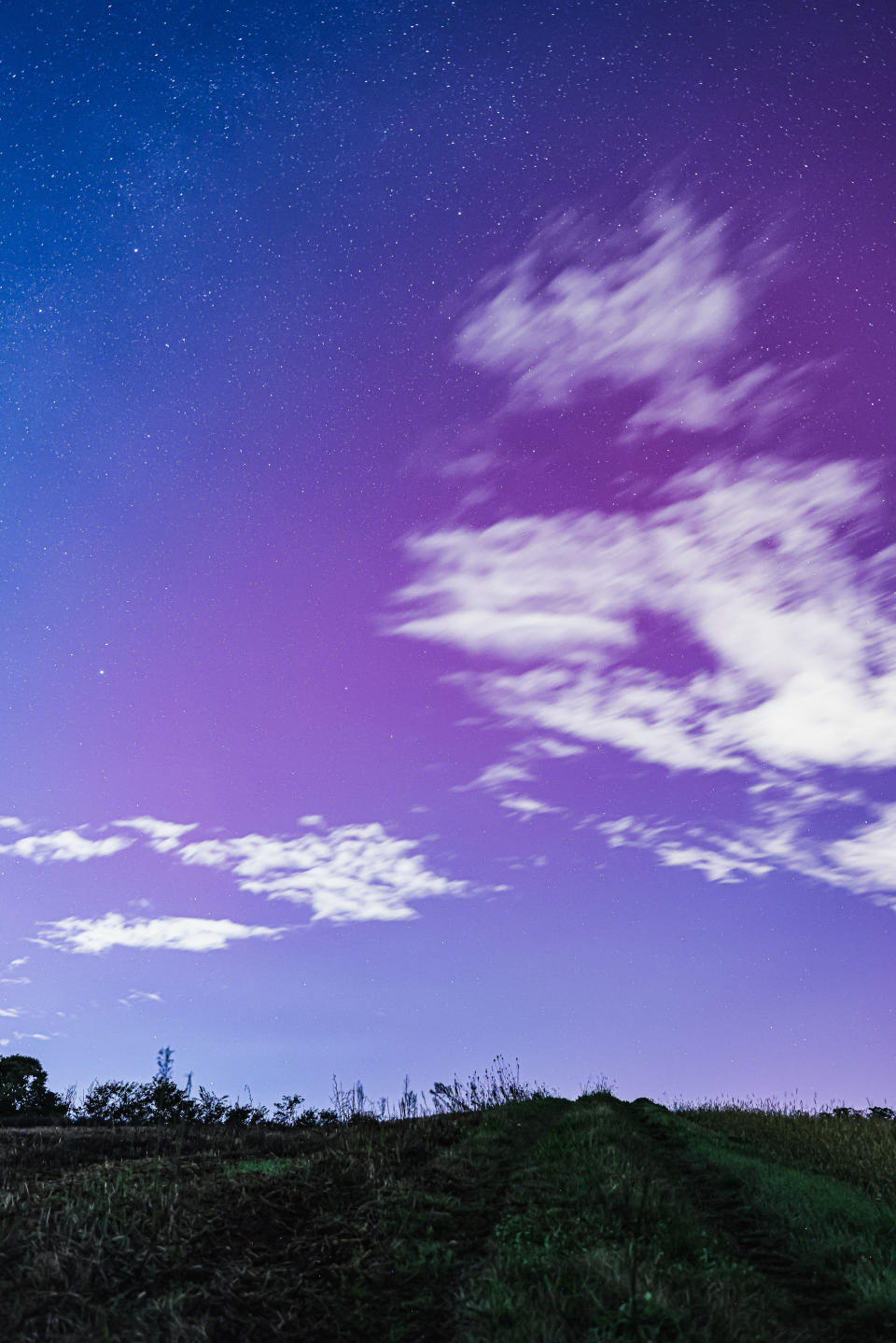 Night sky with clouds and stars above a grassy field