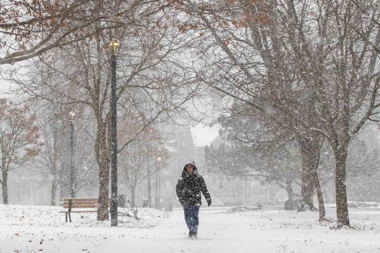 A pedestrian makes their way down a snow-covered path in Kingston, Ont., in 2021. Environment Canada has issued snow squall warnings and advisories for the region. (Lars Hagberg/The Canadian Press - image credit)