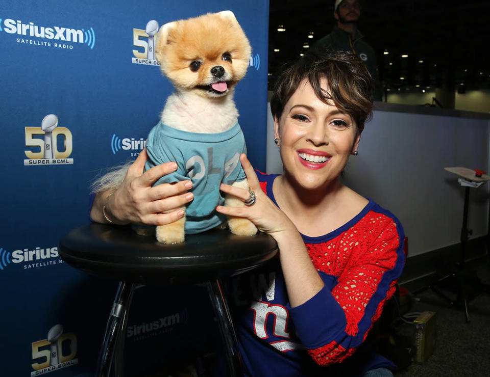 Famous pooch Jiff and actress/Touch designer Alyssa Milano made fast friends. Think he could wear an extra-small shirt from her sportswear line? Yeah, probably not. (Photo: Cindy Ord/Getty Images for Sirius)