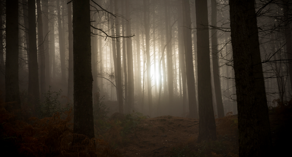 Fake rescue videos are often filmed in remote locations where you wouldn't expect to find people. Source: Getty / File