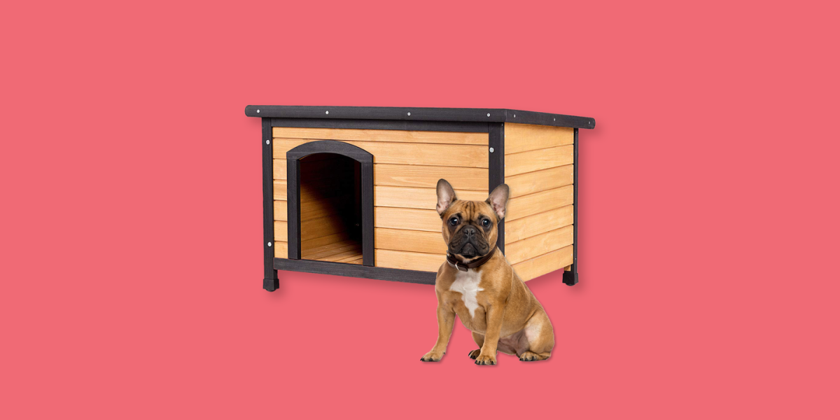 How to Cool a Doghouse in the Dog Days of Summer