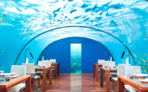 <p>Ein Ausflug ins Ithaa-Restaurant auf den Malediven ist ein wahres Erlebnis. Die Gäste sitzen unter Wasser und betrachten die vorbei schwimmenden Fische, während sie ihr Mahl zu sich nehmen. Für rund 345 Euro kann man sich hier an Stopfleber mit Trüffeln, Kaviar und Kalbfleisch sättigen. (Foto: Conrad Hotels & Resort) </p>