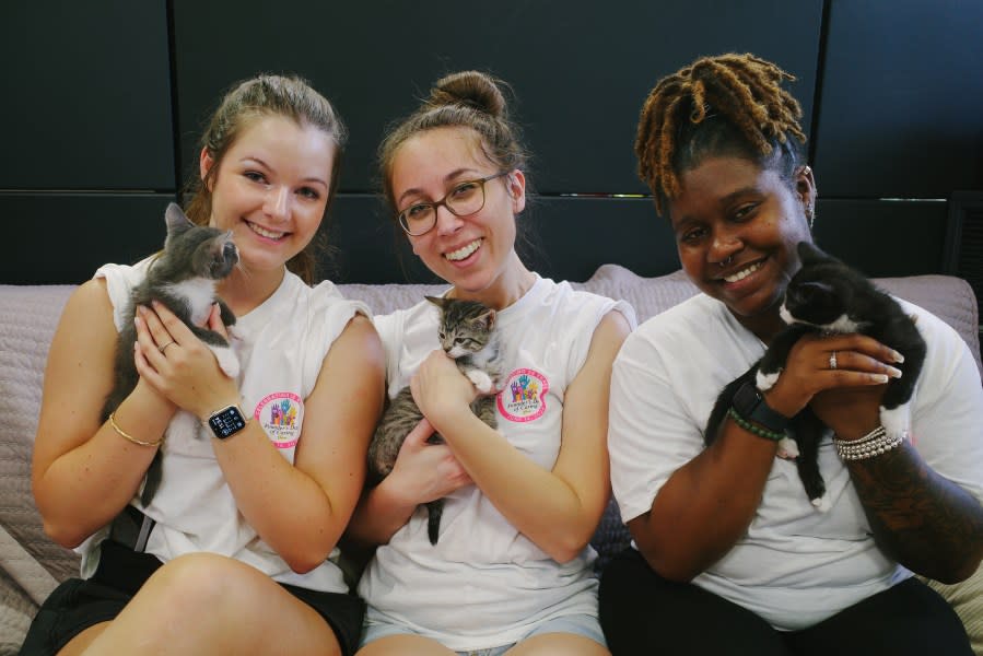 WHNT Employees cuddled with some of the adoptable kittens available at GHHS (photo: Cristina Byrne, WHNT)