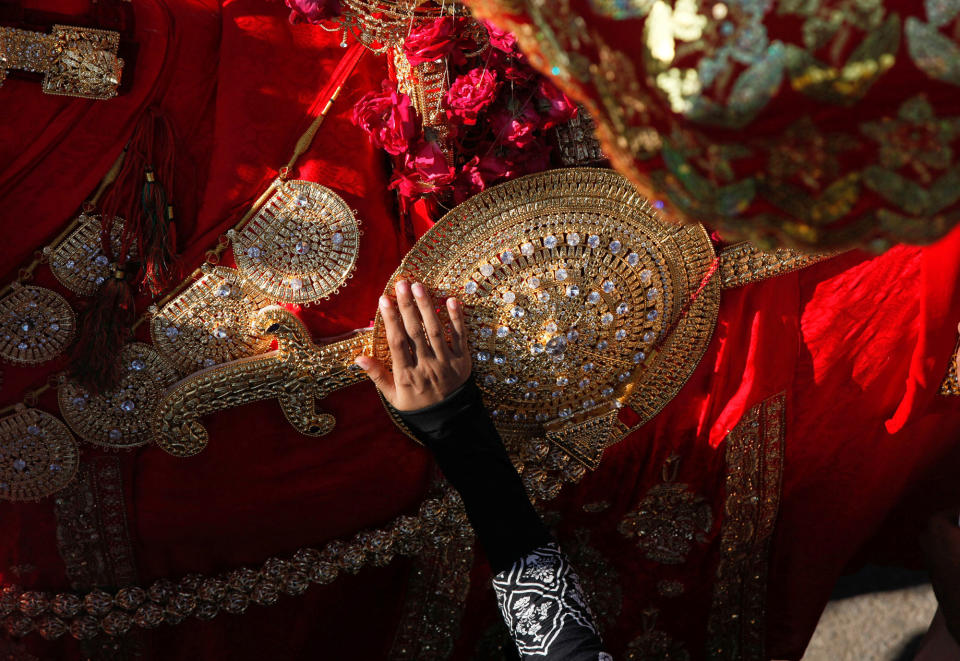 A hand of a Shi’ite Muslim woman touches the gold-ornamentation of sword and shield, placed on a symbolic sacred horse for a good luck, during Chelum, a procession to mark the fortieth day after the death of Imam Hussain, grandson of the Prophet Muhammad,