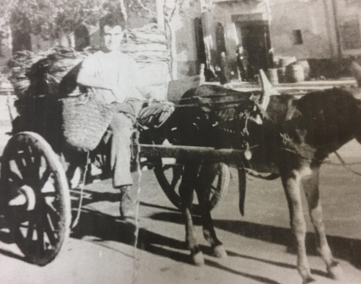 Frank Cassata often talked about his teenage days in Sicily, when he would sell citrus and olive oil from a cart pulled by a donkey named Cheech.