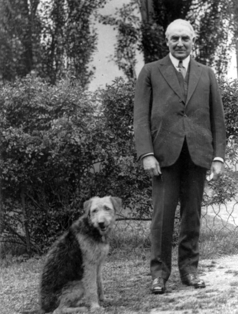 President Warren G. Harding with his Airedale Terrier, Laddie Boy