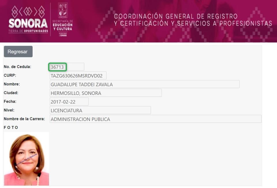 <span>Captura de pantalla del sitio web del Registro de Profesionistas del Estado de Sonora, hecha el 21 de junio de 2024</span>