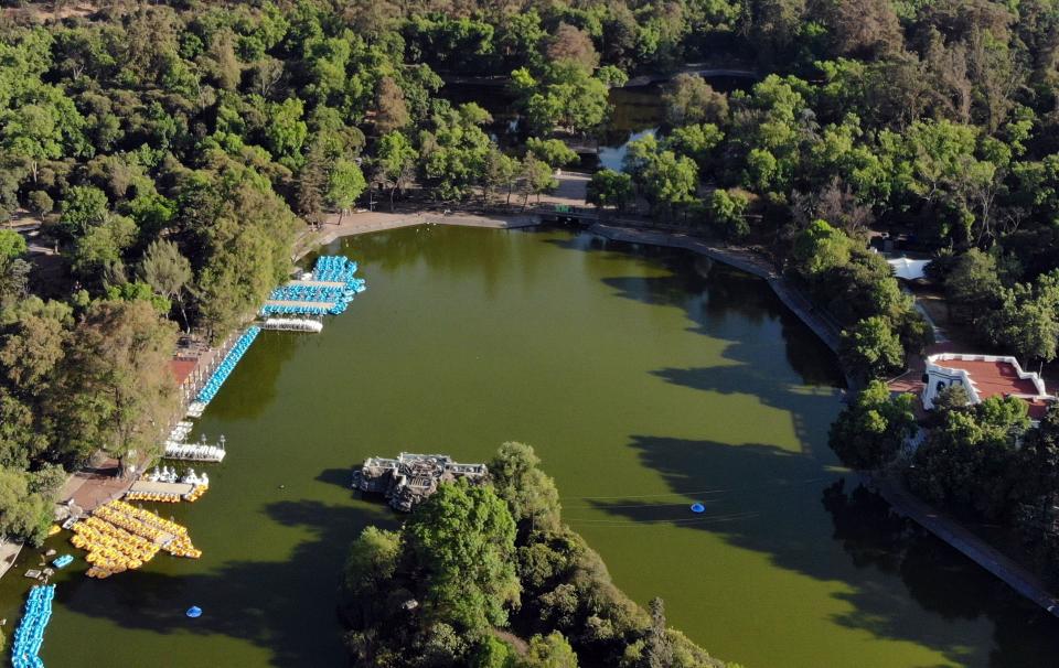 Bosque de Chapultepec, CDMX | RODRIGO ARANGUA/AFP via Getty Images)