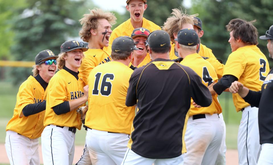 Hamilton baseball celebrates its district title